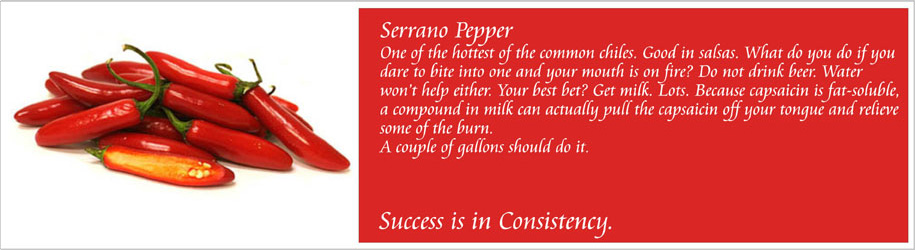 Success is in Consistency